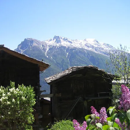 Gamma 公寓 纳特斯